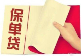 貸款和保障風險兩不誤，保單貸款解決燃眉之急