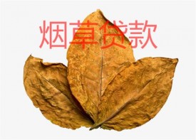 煙草貸款怎么辦理?申辦煙草貸條件、辦理流程及注意事項(xiàng)分享