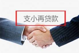 支小再貸款是什么意思? 支小再貸款政策解讀、發(fā)放對(duì)象及條件
