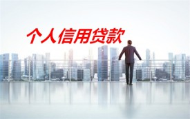 信用貸款哪個平臺好(北京個人信用貸款平臺及放款)