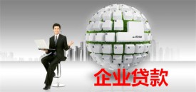 企業(yè)貸款有哪些平臺(tái)(北京企業(yè)貸款平臺(tái)及方式)