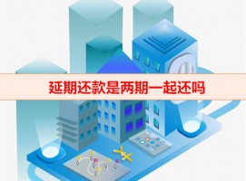延期還款是兩期一起還嗎(延期還款VS逾期還款差異分析)