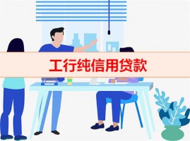 工行有純信用貸款嗎（工行純信用貸款利息）