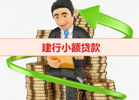 建行10萬小額貸款條件有哪些(建行個人小額信用貸款條款)