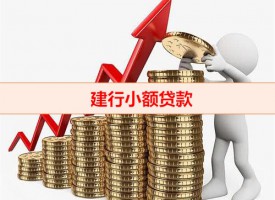 建設(shè)銀行小額貸款利息多少（建行小額貸款利息及計算）