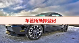 車管所辦理抵押登記需預(yù)約嗎(車管所抵押登記備案材料)