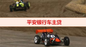 平安車主貸利息多少（平安銀行車主貸額度）