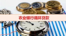 農行循環貸款怎么申請（農業銀行循環貸款申辦及使用）