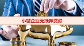 小企業(yè)無抵押貸款需要擔(dān)保人嗎(小微企業(yè)無抵押貸款申辦須知)