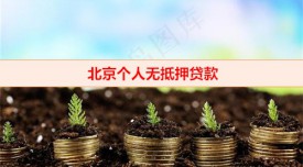 無抵押就可以借貸途徑有哪些(北京個人無抵押貸款申辦條件)