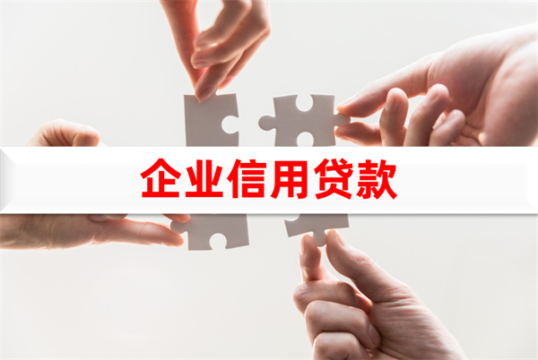 個(gè)人企業(yè)無(wú)抵押信用貸款申請(qǐng)指南(企業(yè)貸詳解)
